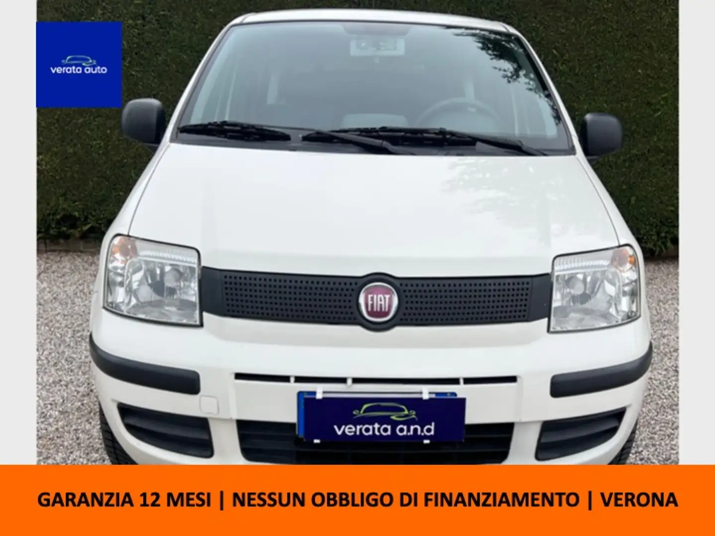Fiat Panda Panda 1.4 natural power - CINGHIA NUOVA Blanc - 1