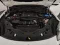 Maserati Grecale Grecale MHEV 300 CV AWD GT Bianco - thumbnail 10