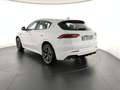 Maserati Grecale Grecale MHEV 300 CV AWD GT Blanc - thumbnail 8