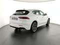 Maserati Grecale Grecale MHEV 300 CV AWD GT Bianco - thumbnail 5