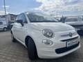 Fiat 500C 1.0 Cabrio Klima*Carplay* Weiß - thumbnail 1