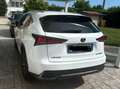 Lexus NX 300h F-Sport Alb - thumbnail 2