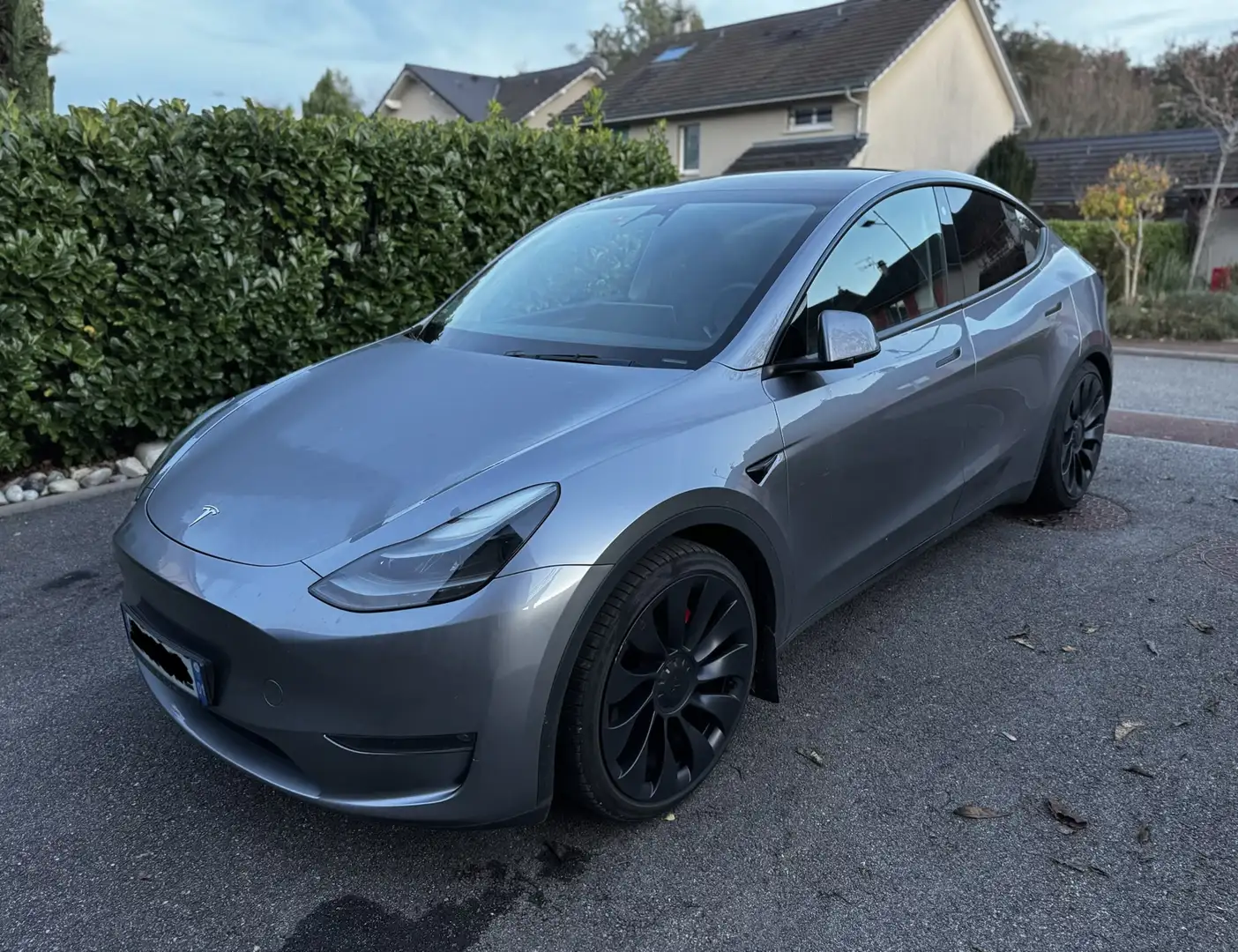 Tesla Model Y PERFORMANCE Gris - 1