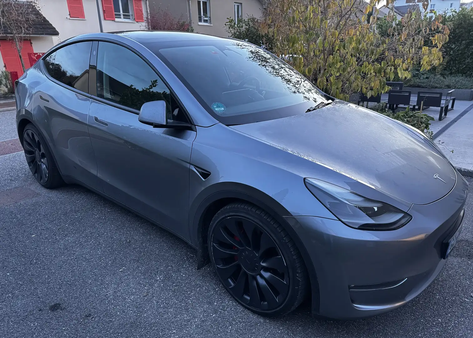 Tesla Model Y PERFORMANCE Gris - 2