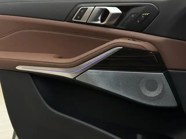 BMW X5 view 12