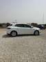 Renault Megane 1.5dCi Blue Business 85kW Blanco - thumbnail 5