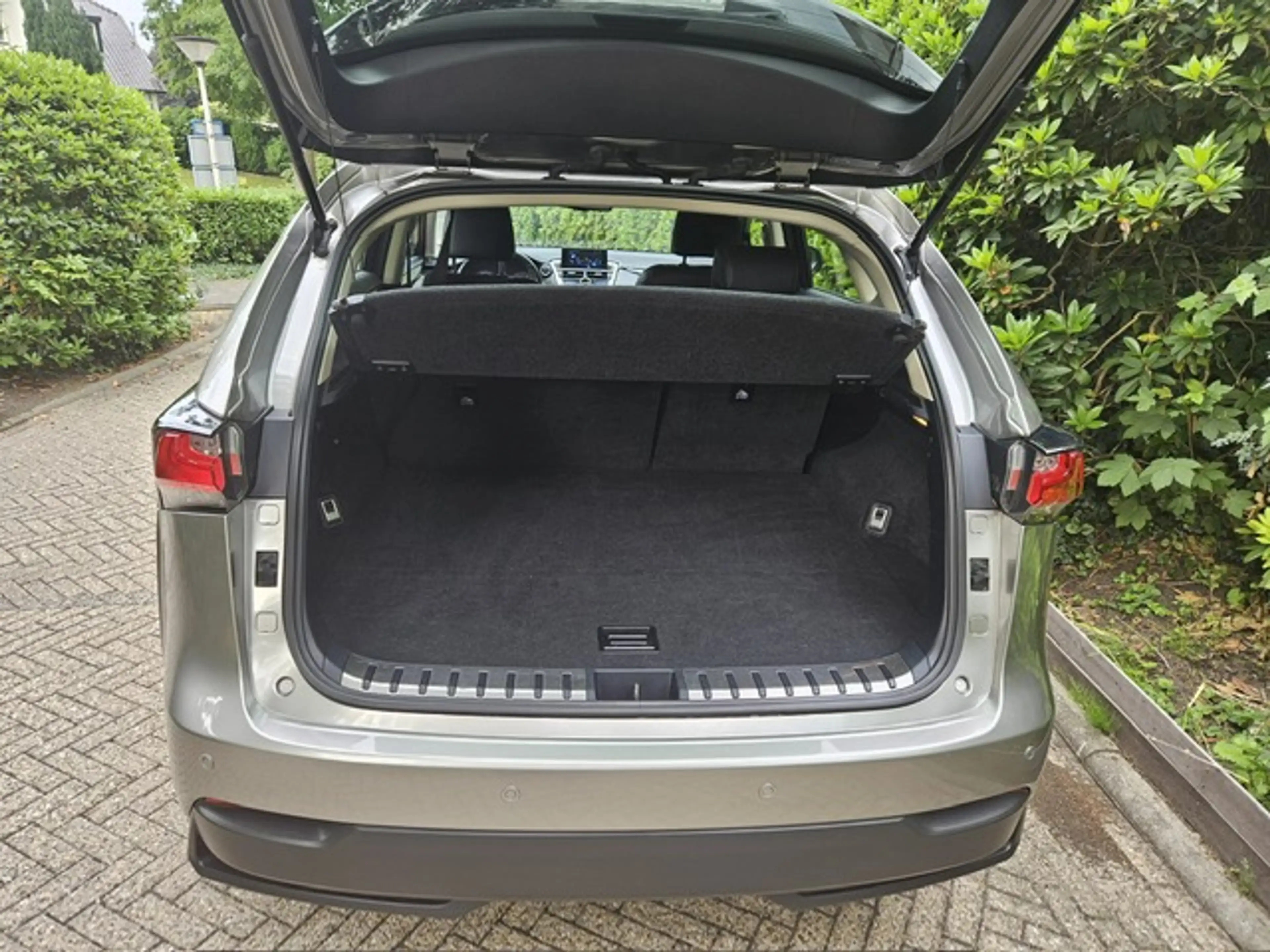 Lexus NX 300h AWD 25th Edition Pdc/Stoelverwarming — photo 8