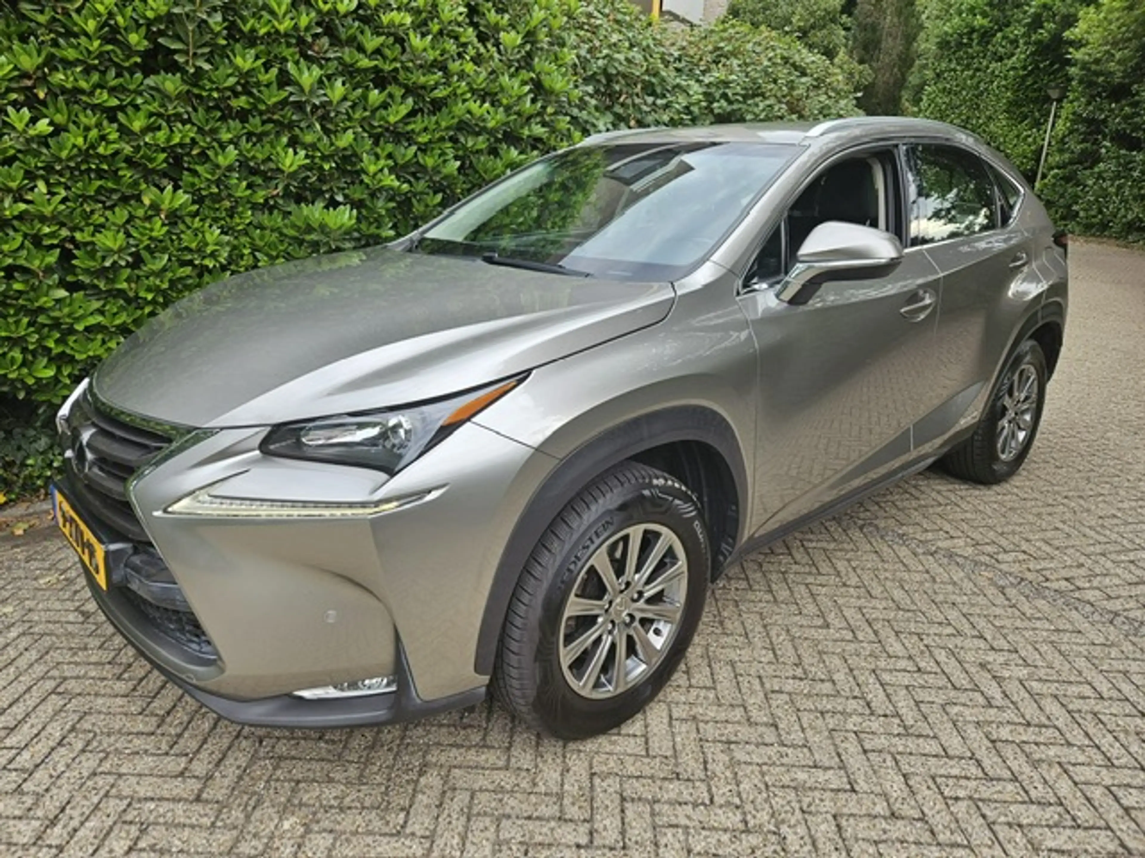 Lexus NX 300h AWD 25th Edition Pdc/Stoelverwarming — photo 3