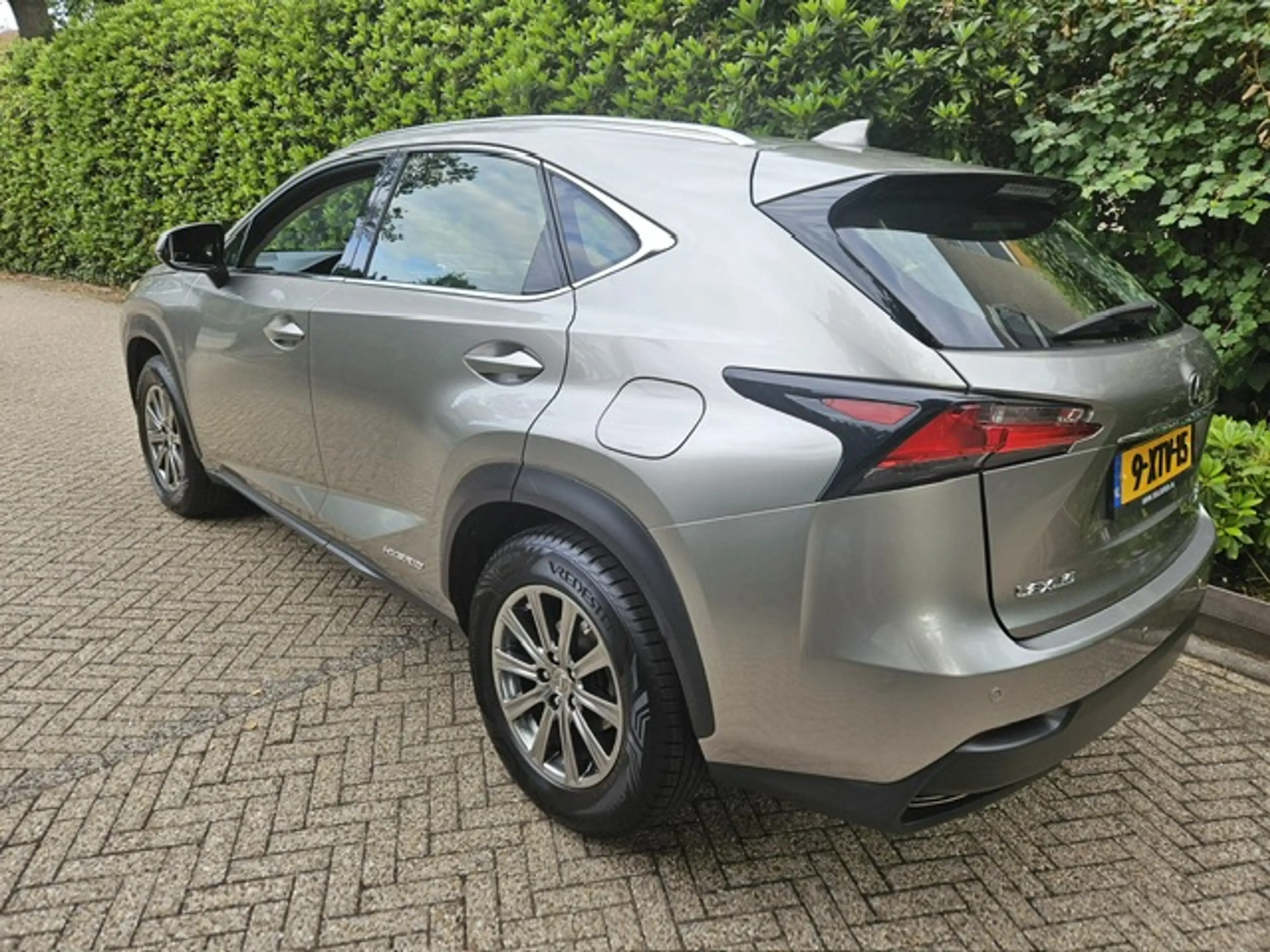 Lexus NX 300h AWD 25th Edition Pdc/Stoelverwarming — photo 6