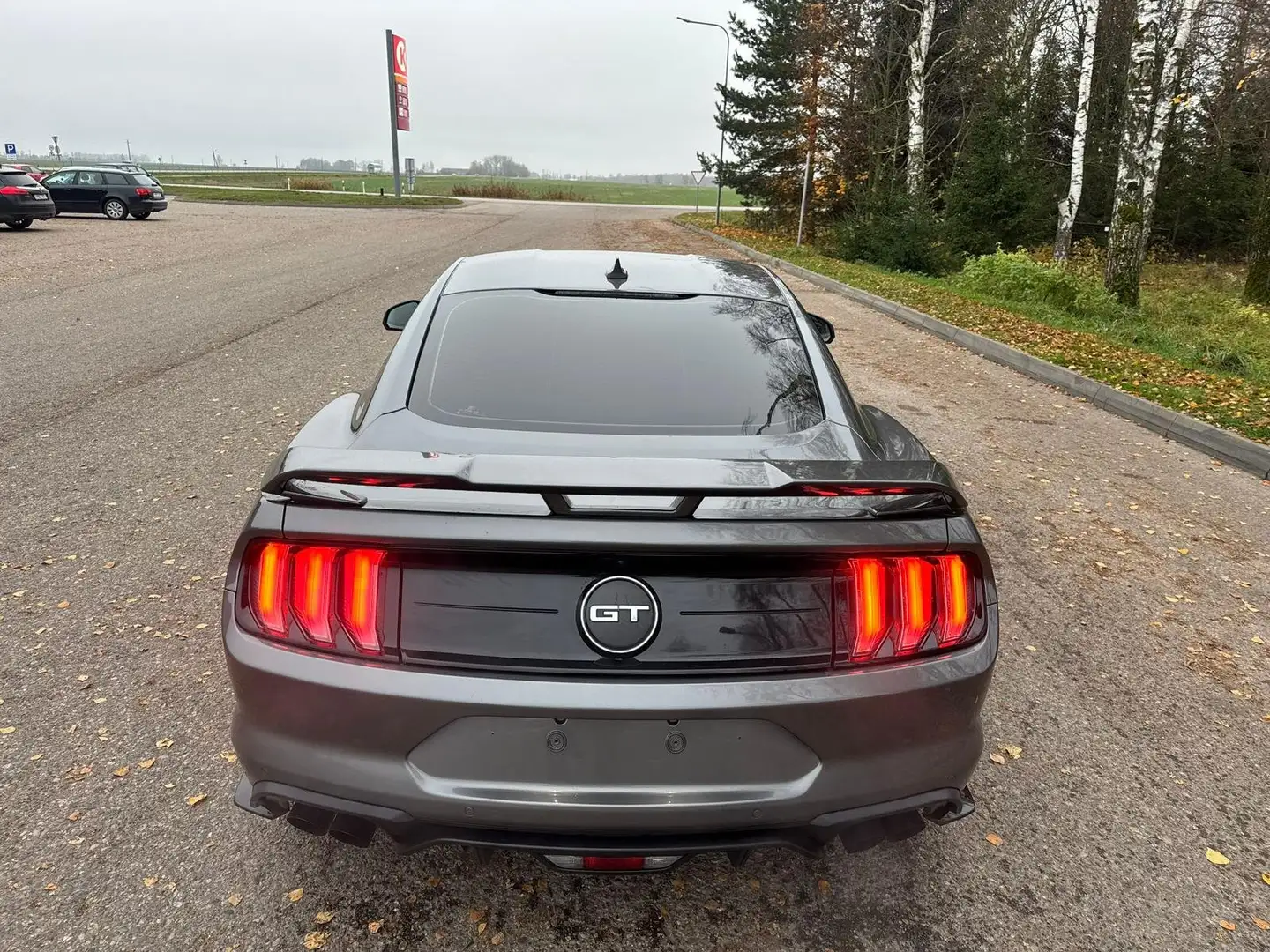 Ford Mustang Mustang Fastback V8 5.0 GT Grau - 2