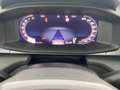 CUPRA Terramar VZ 2.0 TSI 265 PS DSG 4Drive Grau - thumbnail 20
