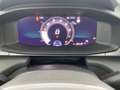 CUPRA Terramar VZ 2.0 TSI 265 PS DSG 4Drive Grau - thumbnail 18