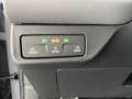 CUPRA Terramar VZ 2.0 TSI 265 PS DSG 4Drive Grau - thumbnail 31