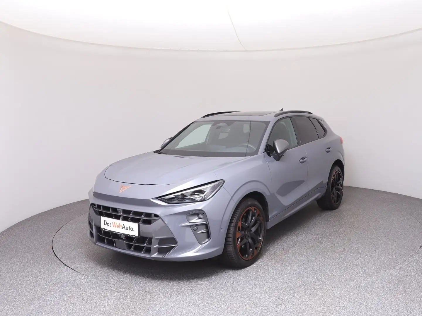CUPRA Terramar VZ 2.0 TSI 265 PS DSG 4Drive Grau - 1