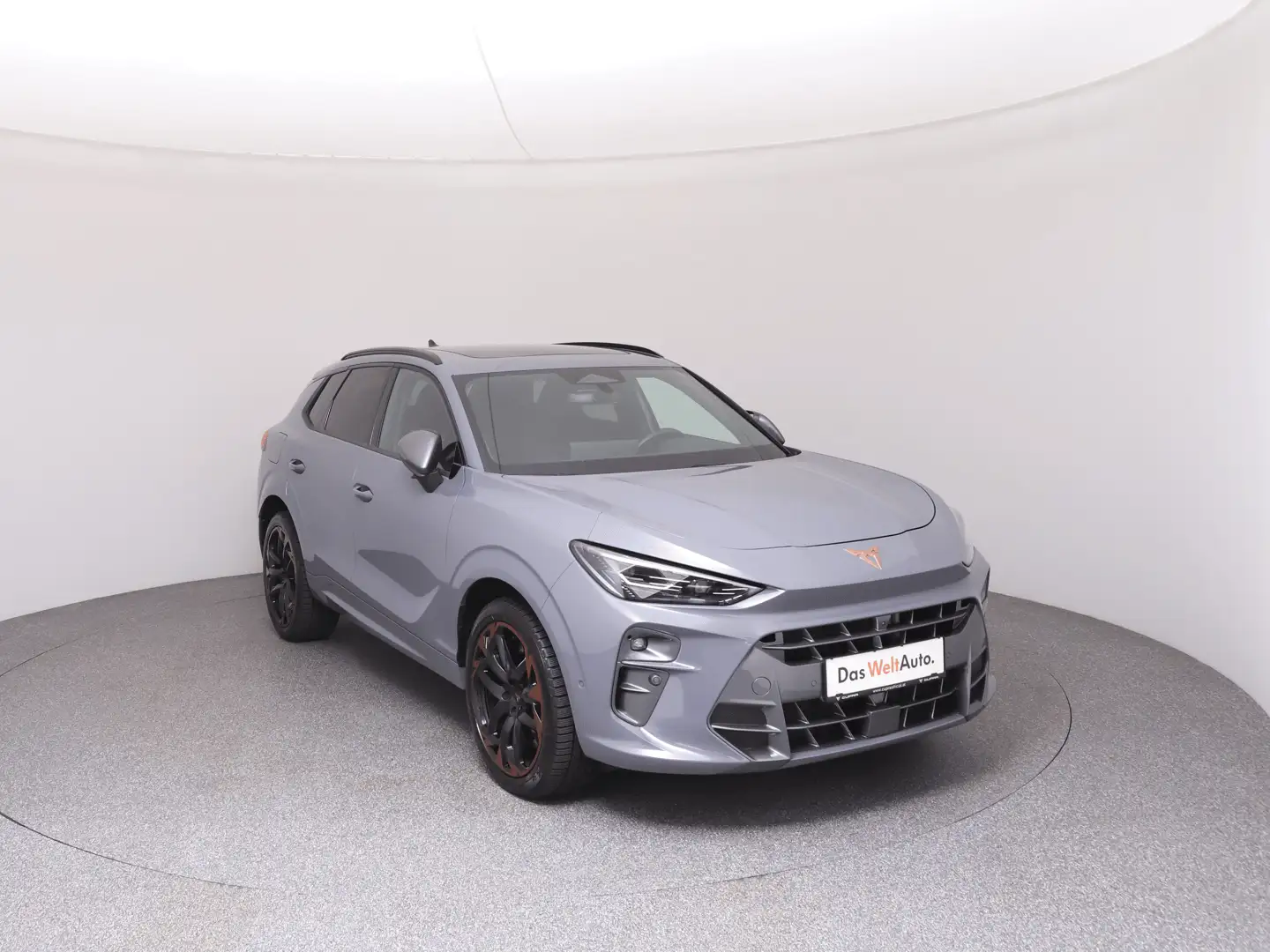 CUPRA Terramar VZ 2.0 TSI 265 PS DSG 4Drive Grau - 2
