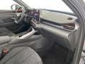 CUPRA Terramar VZ 2.0 TSI 265 PS DSG 4Drive Grau - thumbnail 11