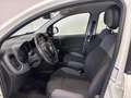 Fiat Panda 1.2 69cv S&S E6d-Temp Easy Nero - thumbnail 9