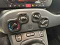 Fiat Panda 1.2 69cv S&S E6d-Temp Easy Nero - thumbnail 14