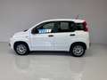Fiat Panda 1.2 69cv S&S E6d-Temp Easy Nero - thumbnail 2