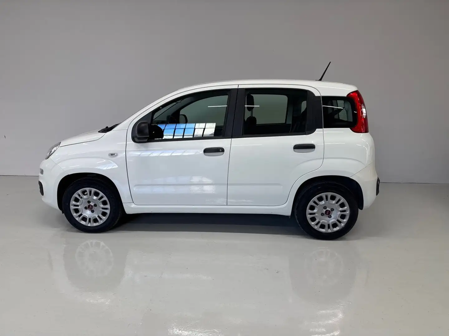 Fiat Panda 1.2 69cv S&S E6d-Temp Easy Nero - 2