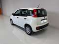 Fiat Panda 1.2 69cv S&S E6d-Temp Easy Nero - thumbnail 3