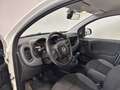Fiat Panda 1.2 69cv S&S E6d-Temp Easy Nero - thumbnail 8