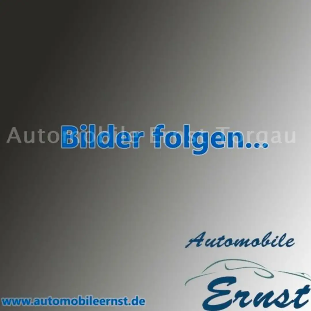 Mercedes-Benz Sprinter Tourer AWD 4x4 319 CDI L2 H3 2xKLIMA V6 Silber - 1