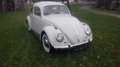 Volkswagen Käfer Type II Luxus Weiß - thumbnail 7