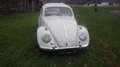 Volkswagen Käfer Type II Luxus Weiß - thumbnail 8