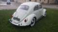 Volkswagen Käfer Type II Luxus Weiß - thumbnail 6