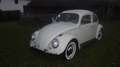 Volkswagen Käfer Type II Luxus Weiß - thumbnail 3