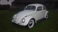 Volkswagen Käfer Type II Luxus Weiß - thumbnail 4