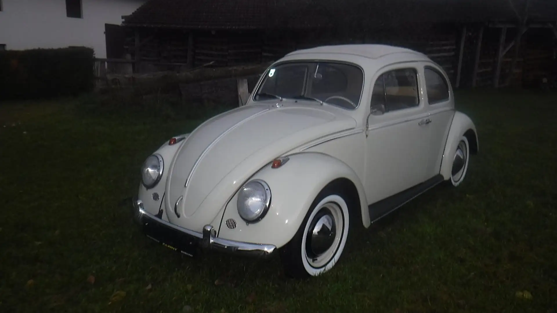 Volkswagen Käfer Type II Luxus Weiß - 2