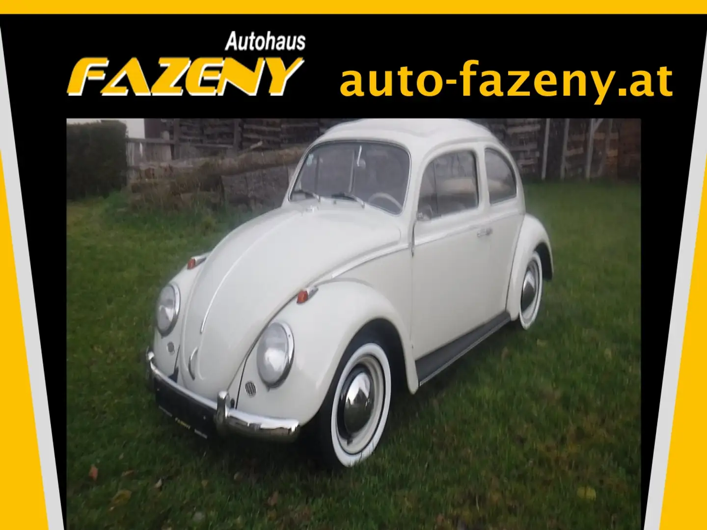 Volkswagen Käfer Type II Luxus Weiß - 1
