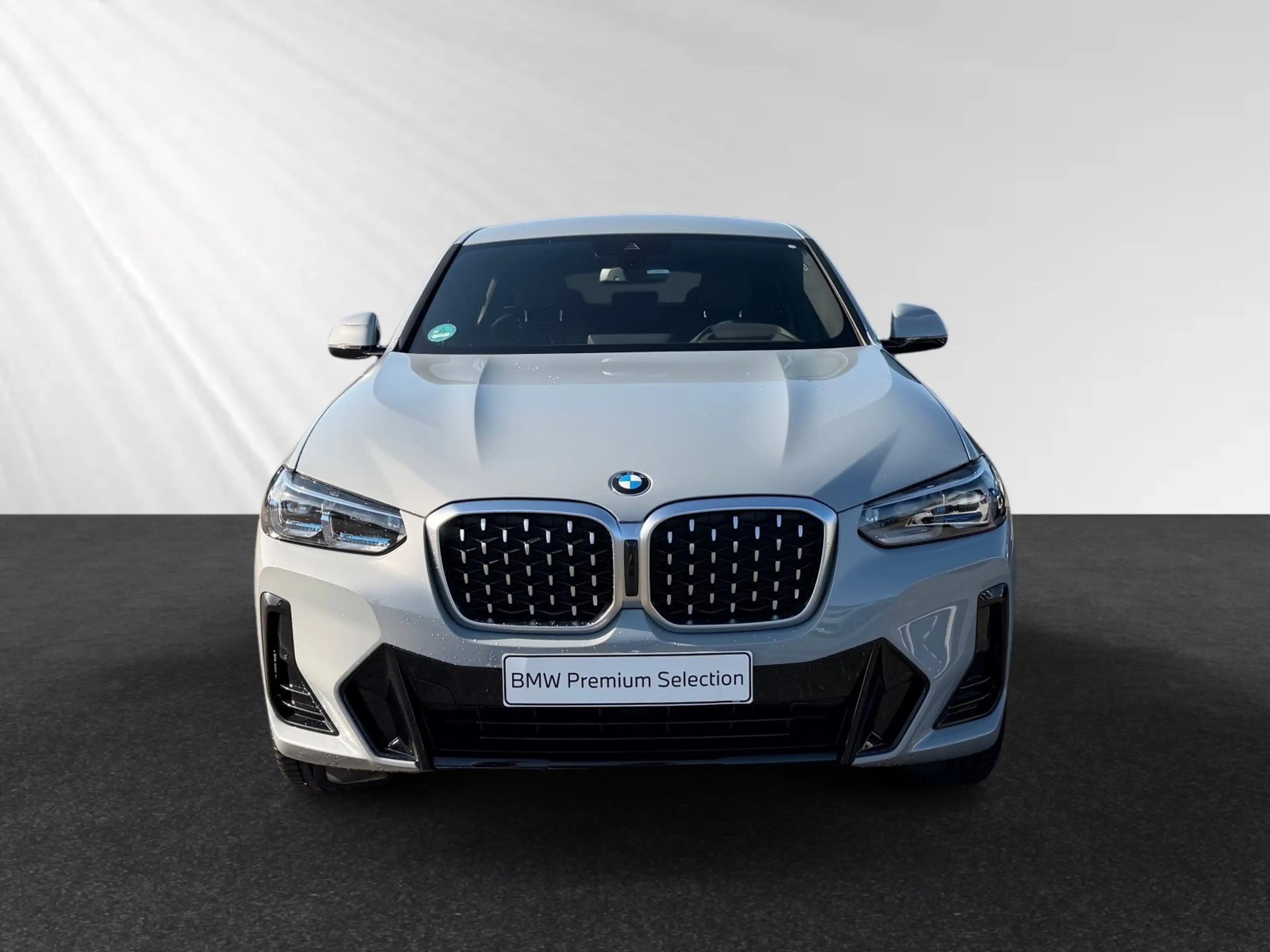 BMW X4 xDrive20d M Sport|AHK|Head-Up|HiFi|19"LM — photo 5