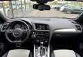Audi SQ5 SQ5 V6 3.0 BiTDI 313 Quattro Tiptronic 8 Grigio - thumbnail 9
