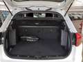 Suzuki Vitara 1.6 VVTV-Cool GPL 1°PROP-GARANZIA-KM CERTIFIC Bianco - thumbnail 6