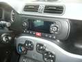Fiat Panda 1.0 firefly Gris - thumbnail 17