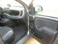 Fiat Panda 1.0 firefly Gris - thumbnail 5