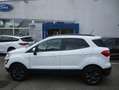 Ford EcoSport 1.0 ECOBOOST 100 BV6 TREND / E85 Blanc - thumbnail 2