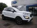 Ford EcoSport 1.0 ECOBOOST 100 BV6 TREND / E85 Blanc - thumbnail 1