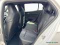 Volkswagen Golf VIII 1.5 eTSI R-LINE KAMERA LED-PLUS ACC Weiß - thumbnail 14