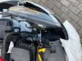 Ford Fiesta Trend KLIMAA. TEMPOMAT SHZ SPURWECHSEL Weiß - thumbnail 23