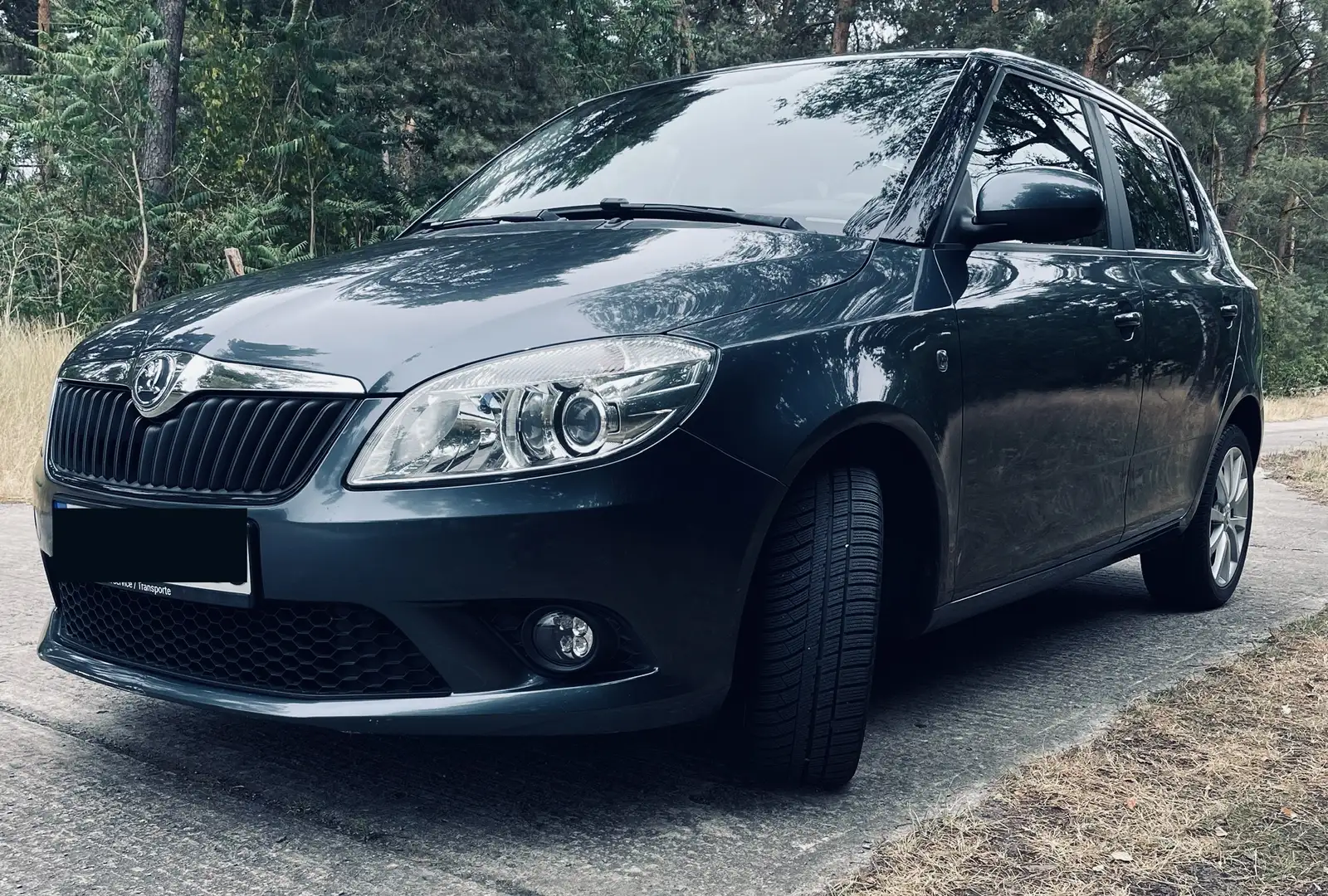Skoda Fabia 1.2 TSI DSG Elegance Grau - 2