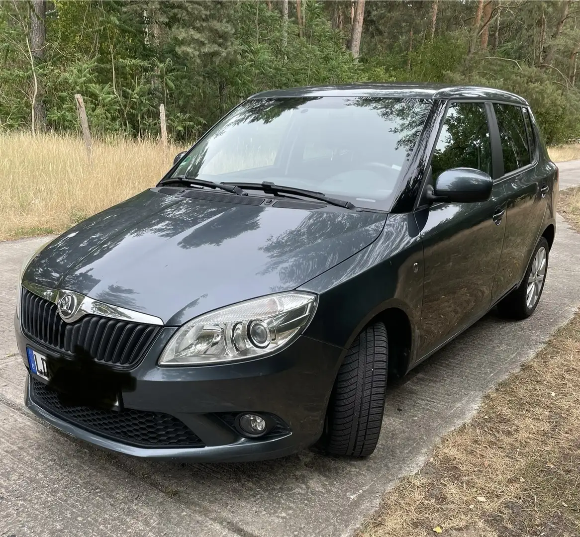 Skoda Fabia 1.2 TSI DSG Elegance Grau - 2