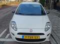 Fiat Punto Punto 0.9 TwinAir Young Wit - thumbnail 3