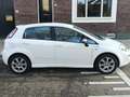 Fiat Punto Punto 0.9 TwinAir Young Wit - thumbnail 2