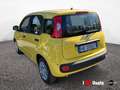 Fiat Panda New 1.0 70cv Hybrid Panda Giallo - thumbnail 4
