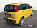 Fiat Panda New 1.0 70cv Hybrid Panda Giallo - thumbnail 3
