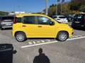 Fiat Panda New 1.0 70cv Hybrid Panda Giallo - thumbnail 6